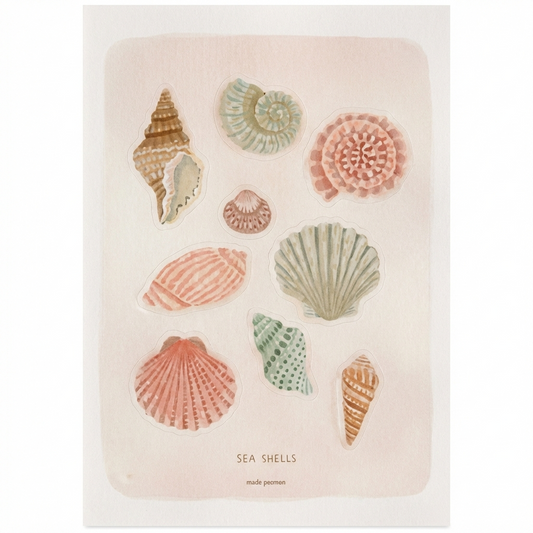 Made Pæmoen Sea Shells art print featuring 10+ illustrated seashell specimens in watercolor, including spiral shells, fan shells, and mollusks on cream background