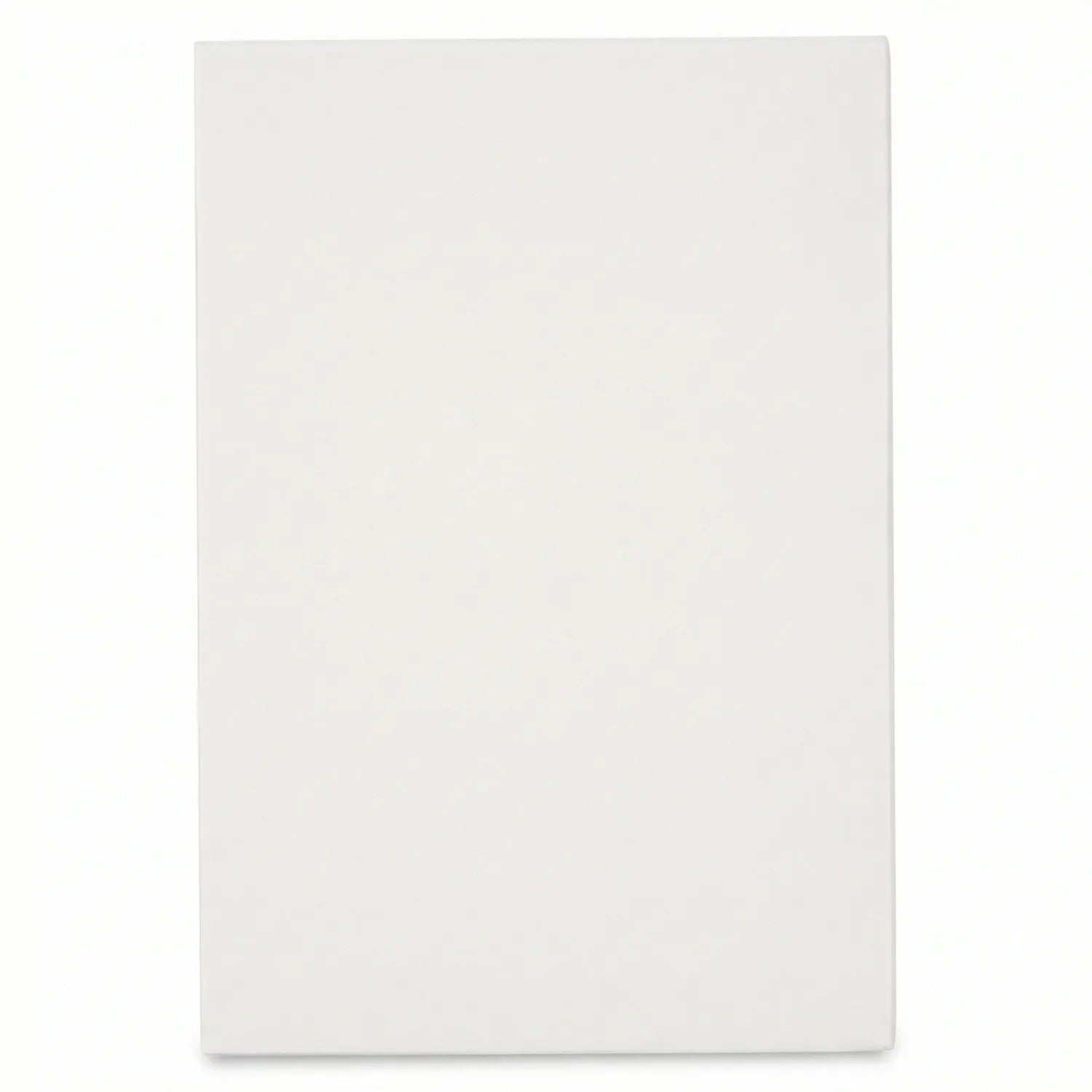 Canvas 2x3 - blank white primed canvas panel, rectangular portrait orientation, professional artist-grade painting surface