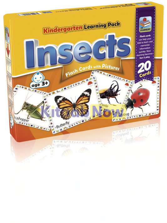 Kindergarten Learning Pack Insects flash cards box with 20 cards showing butterfly, ladybug, beetle, and grasshopper